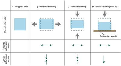 Perceptual Properties of the Poisson Effect